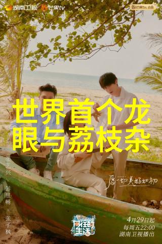 万能个人述职报告一个现代职业生涯规划的必备工具吗