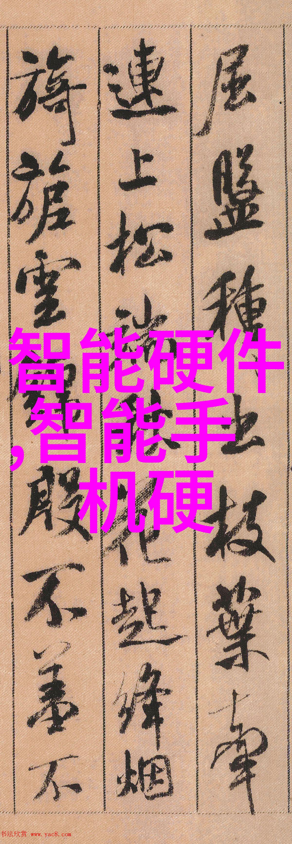 探索山东财经大学官网洞察金融教育的窗口