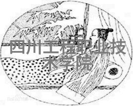 为何新品如此受欢迎它们有哪些独特之处