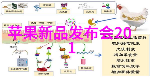 神魔交锋西游之降魔篇中的巅峰对决