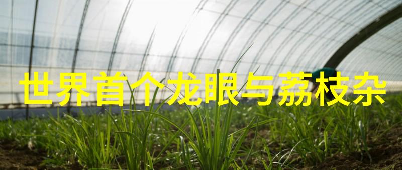 不锈钢桌子坚固耐用美观实用的家居选择