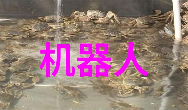138大但人文艺术豆瓣我在豆瓣发现了一个超级棒的社区