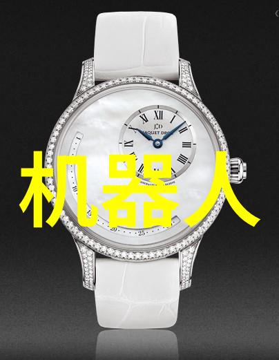 人脸识别技术在公共安全领域的应用实践报告