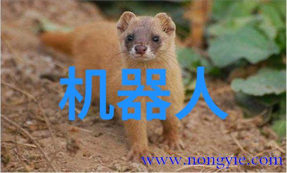 化工卫生泵确保工业生产的安全与效率