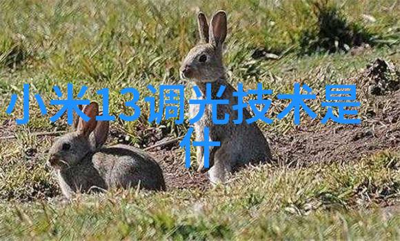 卡贝家居智能马桶如同果树新品种开启了全新的生活风格用过它的朋友都在赞不绝口这确实是一次香到让人沉醉的