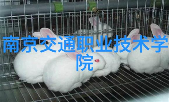 长春财经学院学者赞叹新华财经两新政策如同智慧的灯塔引领电力消费稳步增长至2024年