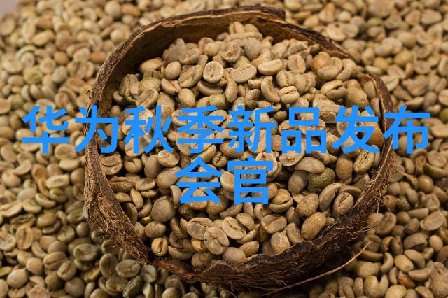 微缩探究芯片测试的精细艺术