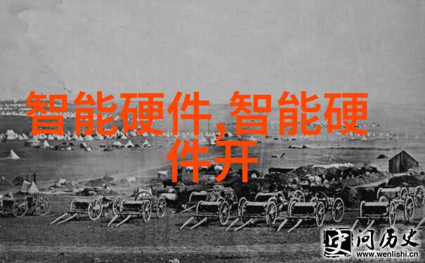 跨文化爱情欧美之恋