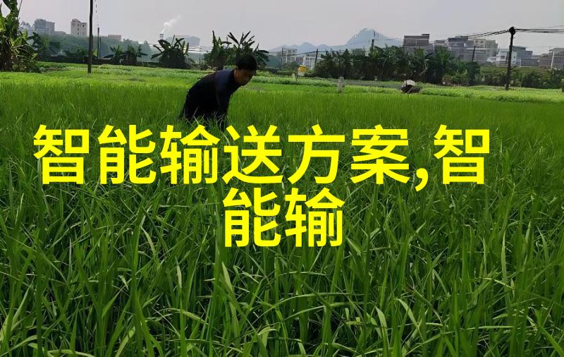 夏日蔬果清新篇香草与草莓的缤纷交融
