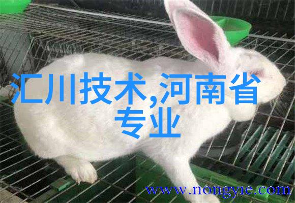 天生废柴从懒惰到崛起的奇幻之旅