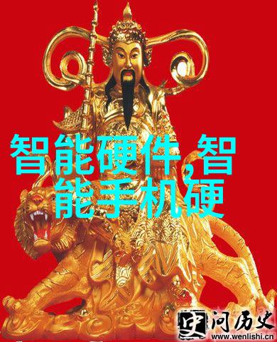 芯片与心脏电子的生命线