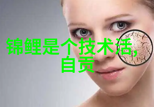 个人述职报告模板我来帮你搞定这份必备文档