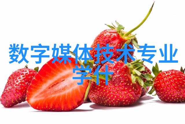 广西财经学院-深耕金融教育广西财经学院引领未来经济管理人才的培养与发展