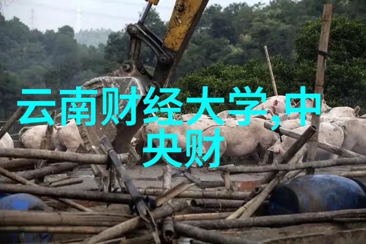 万古神帝新篇章揭秘上古至尊的归来