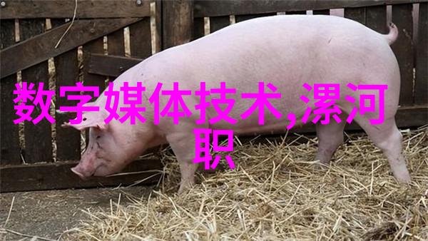 化工颗粒剂机械精细加工的关键技术与设备概述