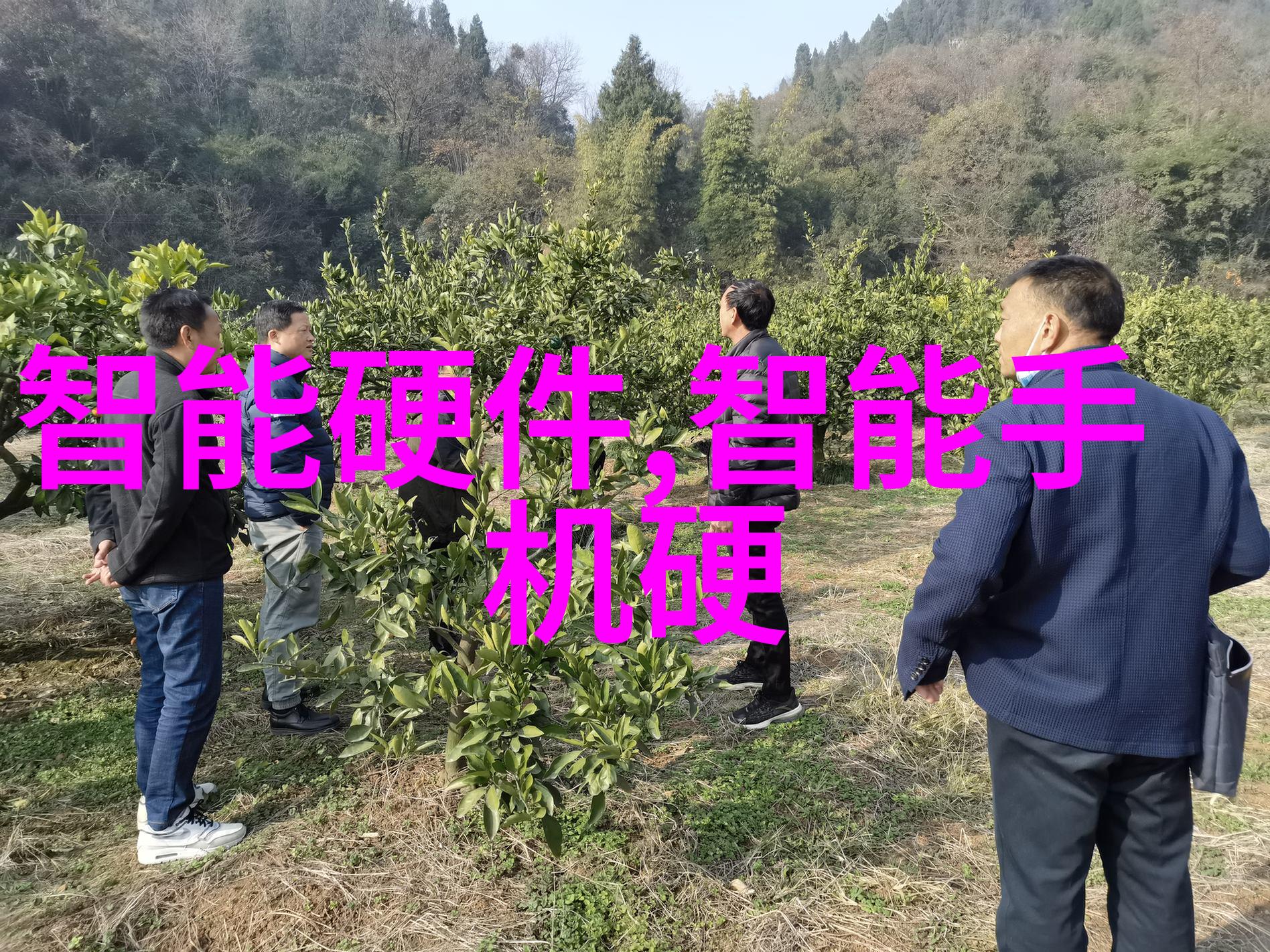 胶体磨的应用与发展前景