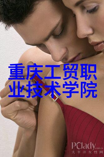 深入剖析芯片多层结构从物理布局到电子性能的互动机制
