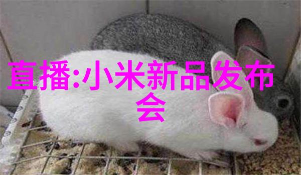 临沂PVC管材厂家热线解析