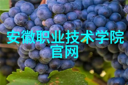 操作人员如何进行胶体磨设备的日常维护和清洁