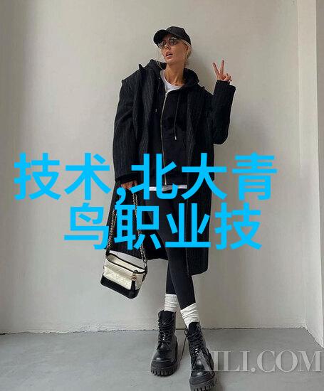 北大青鸟职业技术学院简介探索终身学习的新风尚