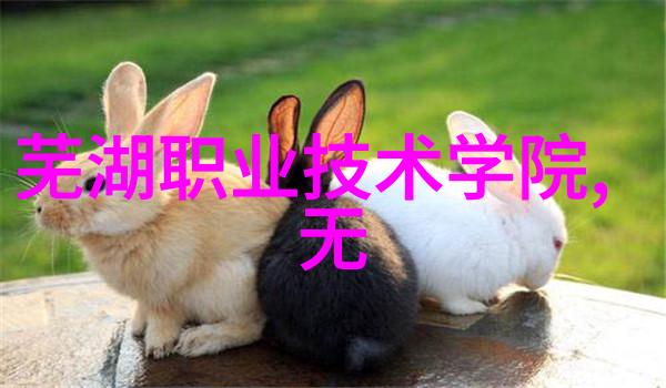 集成电路和芯片从微观到宏观的探索与区分