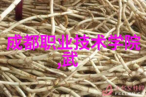 探索上海十大芯片企业引领创新浪潮
