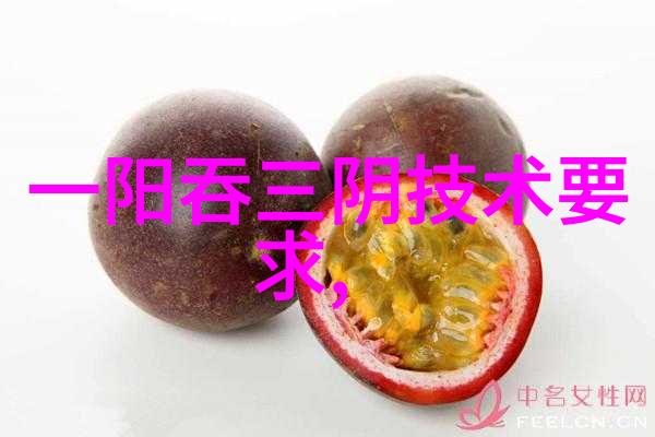 主题我来告诉你排水管材料种类有哪些吧