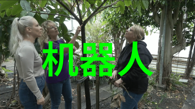 运动手环智能装备助力健康生活