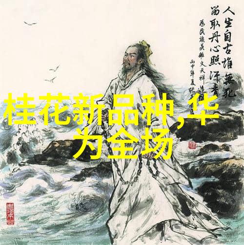 青铜谷的守望者西南财经政法大学的故事