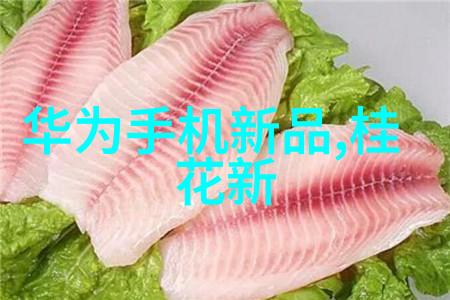 南充职业技术学院南充职技院的专业教育