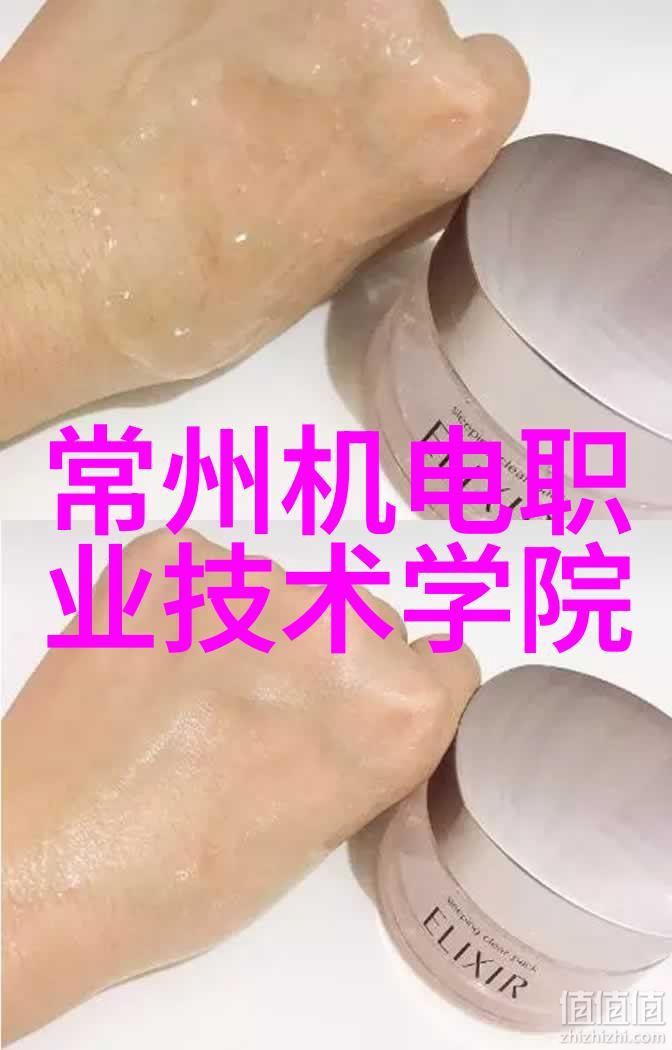 中国自主芯片生产现状与前景探究技术进步产业政策与国际竞争的交汇点