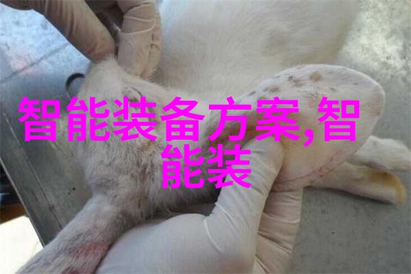 不锈钢矩鞍环填料标准与安全性能的关联分析