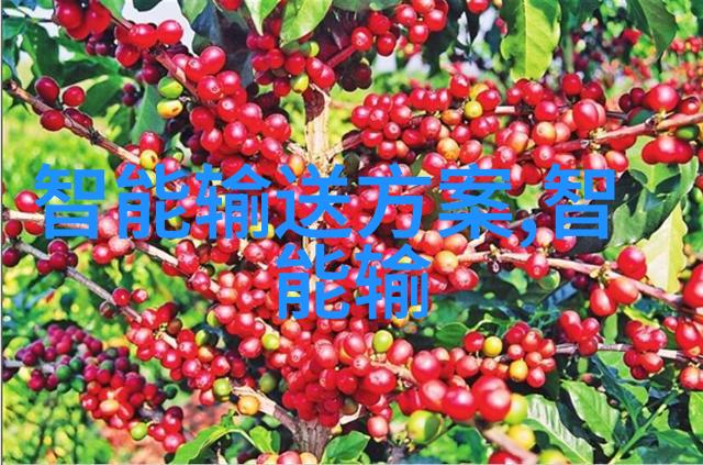 达A2伺服常用术语大解析