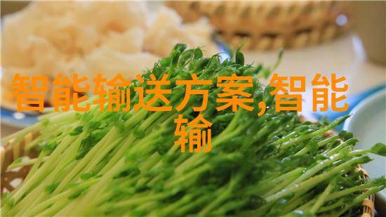 不锈钢价格走势图解析市场动态与行业前景