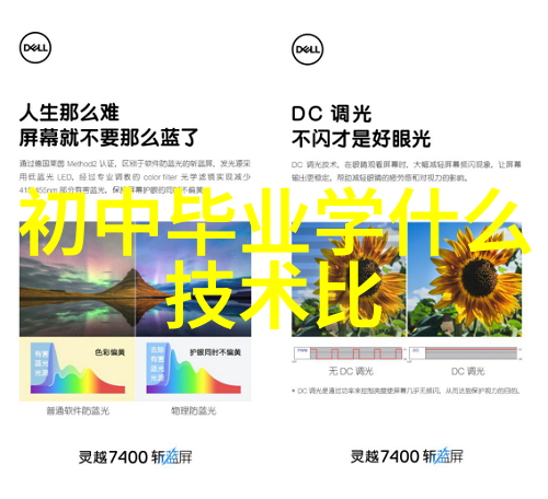 蒸发器与浓缩机的完美结合提取浓缩设备的高效应用