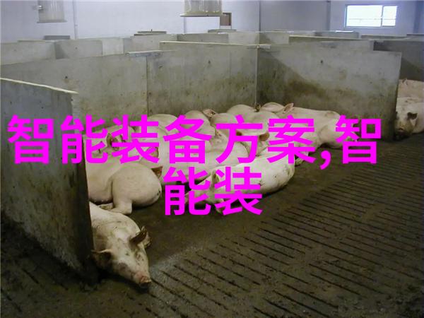 在撰写申请费用的报告时应该如何展示成本效益分析