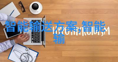 公交车轮C多肉城市公共交通系统中的环保多肉装饰元素