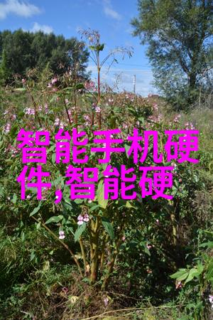 工业磨粉设备的选择与应用立式辊磨机的优势与场景