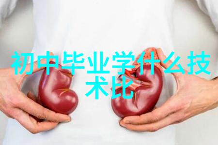 山东财经大学燕山学院财经学府的秀美校园与卓越教育