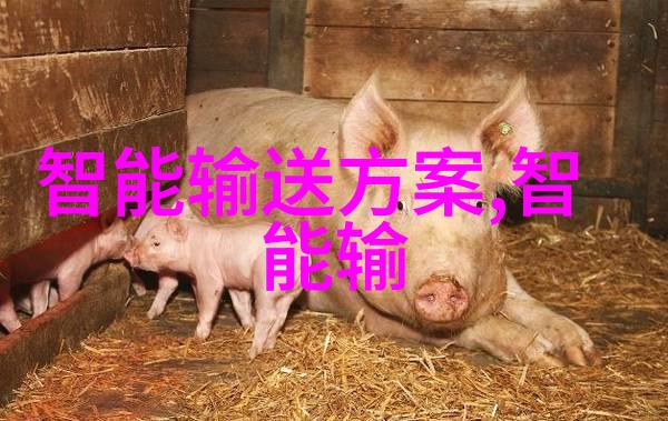 自动化水平高低会影响污水处理效率和成本吗