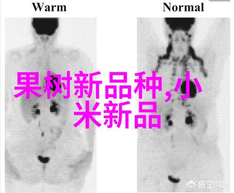 丝网规整填料国家标准之谜