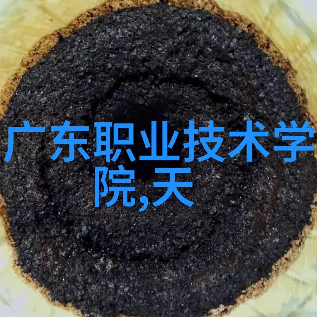 物流设备我是如何让运输更高效的