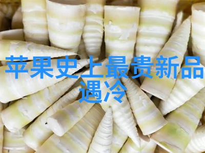 中南财经政法大学研究生院学术探索与人才培养的前沿阵地
