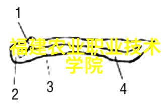 环填料的规整之美探索高效稳定的土木工程应用