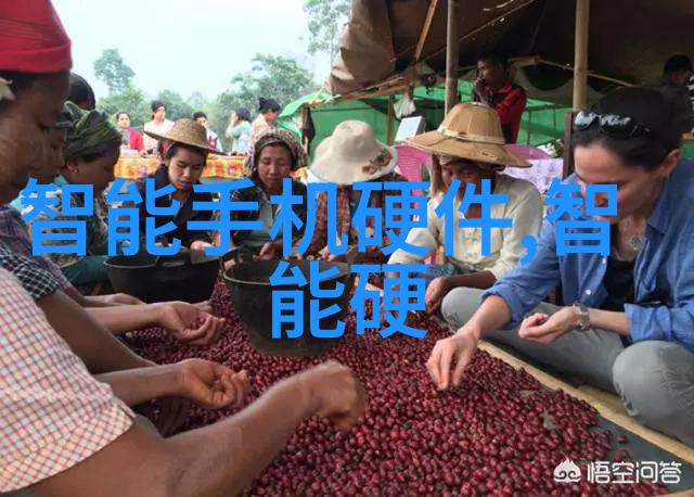安徽财经大学传承理想信念引领经济学术新风潮
