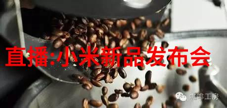 免费软件宝库探索数字时代的便捷下载与安装体验