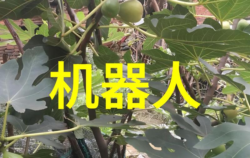 审计报告对于提高企业治理质量有多大作用
