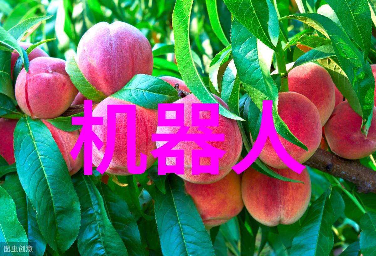制造信息系统智能化流程的未来驾驭者