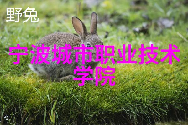 不锈钢波纹填料的应用前景与设计原理