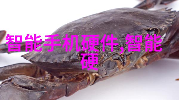 智慧大道北京智能交通网的未来发展与挑战